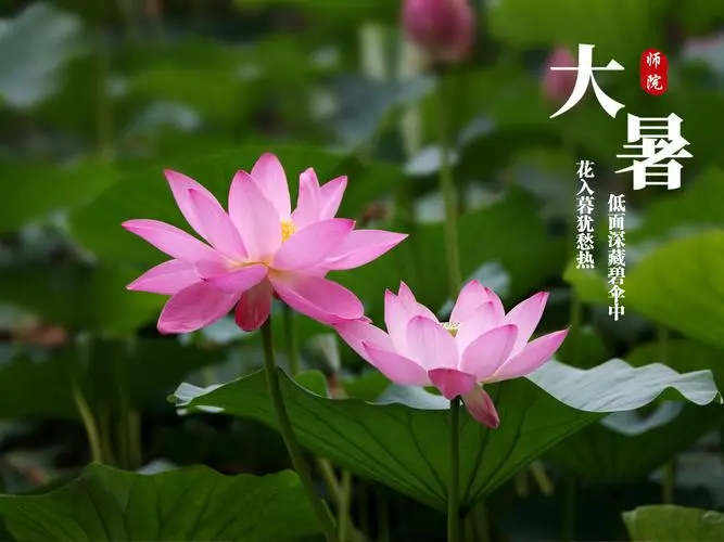 【上海文学社】王廷江绝句五首（四）