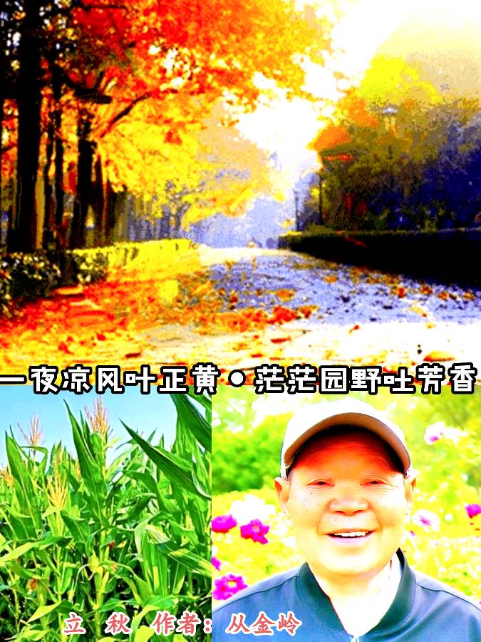 《中华头条北京版》张新成主编郸城县诗词楹联学会老年大学县医院分会组诗总第16期〖吟秋专题〗展示 主播：海河儿女（图22）