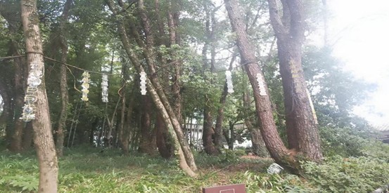 【上海文学社】吴立浪‖甲辰年夏游览千岛湖景区五律诗十首（图10）