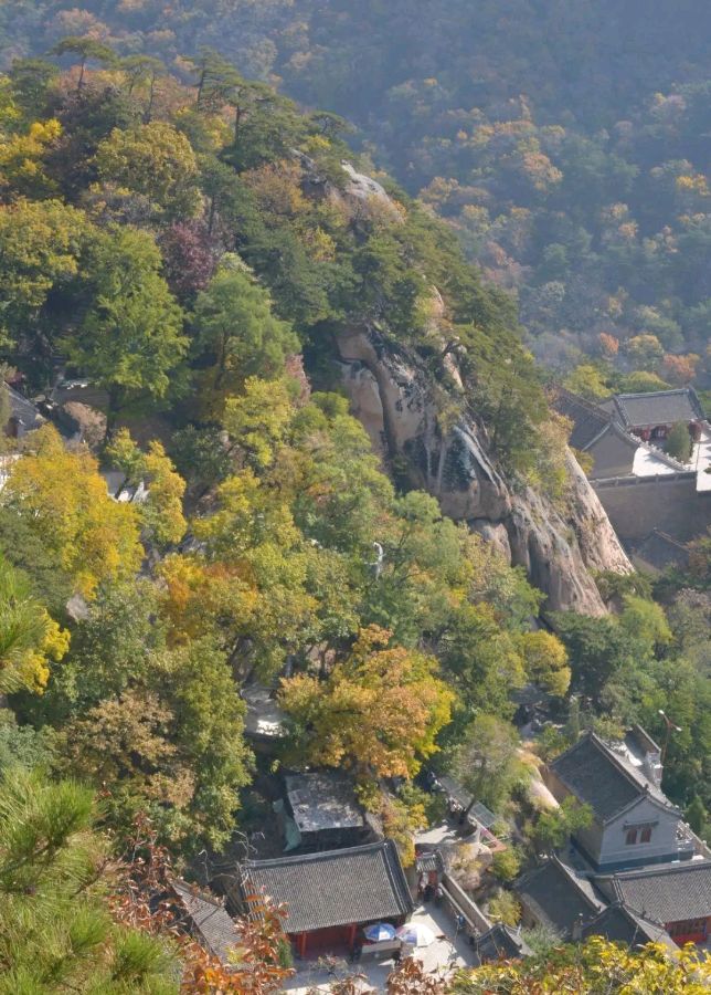 初秋千山～诗||吴永良（图14）