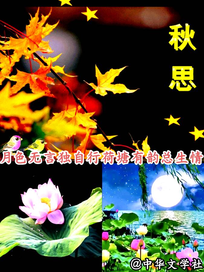《中华头条北京版》张新成主编郸城县诗词楹联学会老年大学县医院分会组诗总第16期〖吟秋专题〗展示 主播：海河儿女（图36）