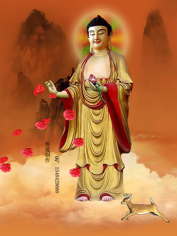 【荣耀中国】《佛说》 薪荷（图3）