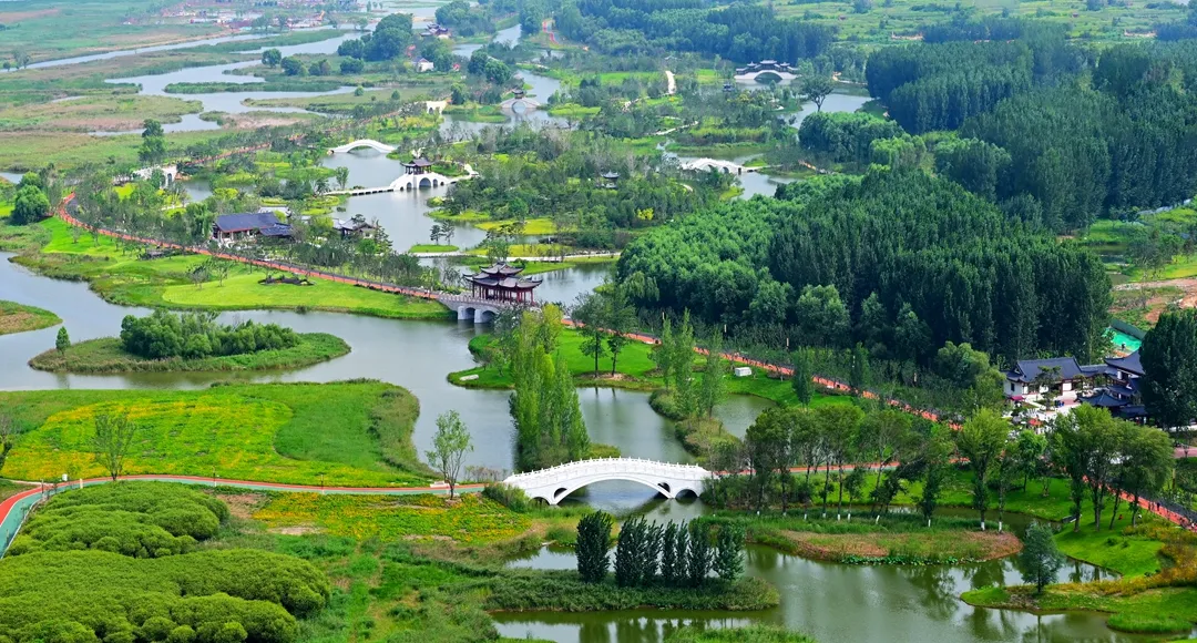 七律·初秋雨霁温地漫步随感（文/张华兴）……莲叶之珠文学社（图5）