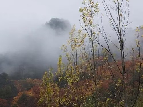 秋山行（文/许碧霞）……莲叶之珠文学社（图4）