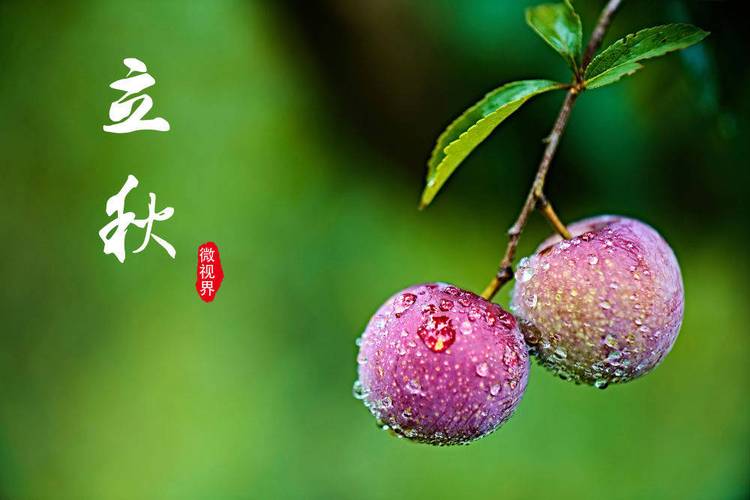【神州源流诗苑】第1218期优秀近体诗周刊(图3)