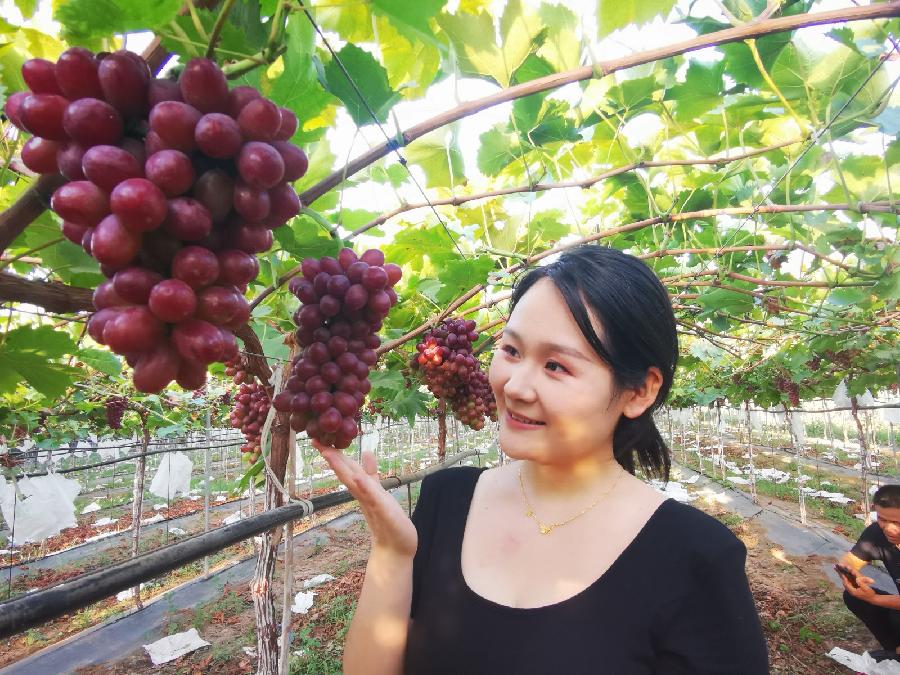 【长安诗文】为户县葡萄代言—走进田园品味葡香（图18）
