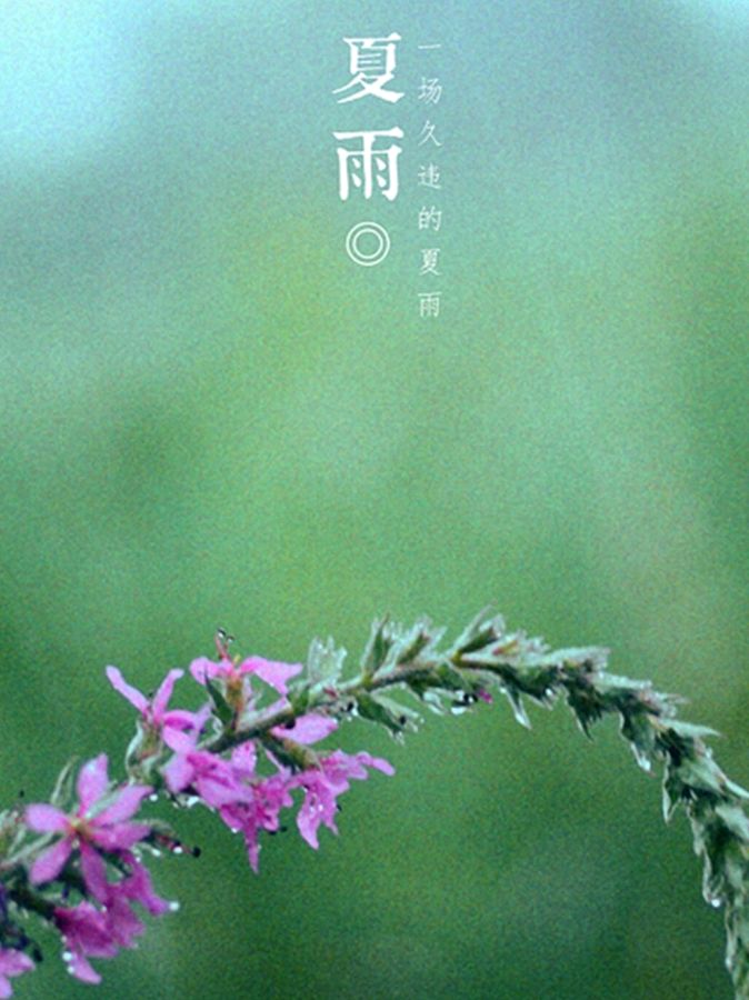 《许峰诗歌研究院》【名家名家】优秀诗人邓新生先生诗词集萃（二）【总第184期】（图5）