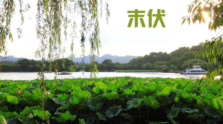 末伏2 末伏2