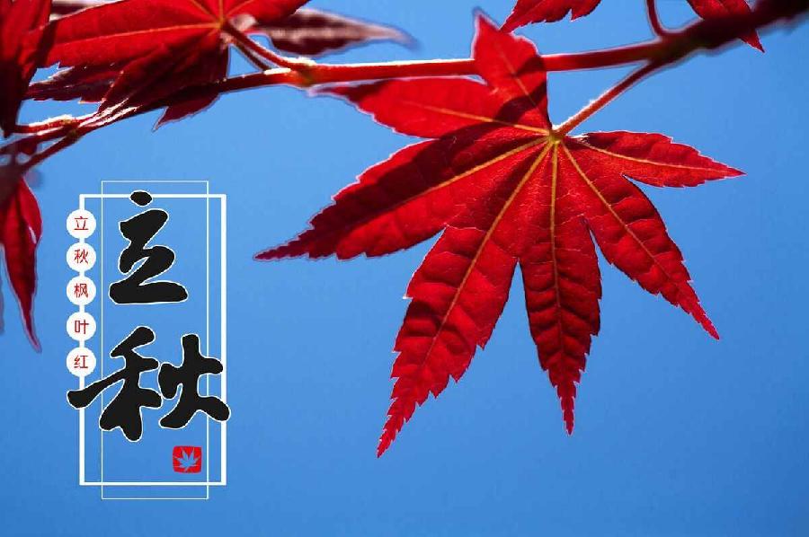 立秋2 立秋2