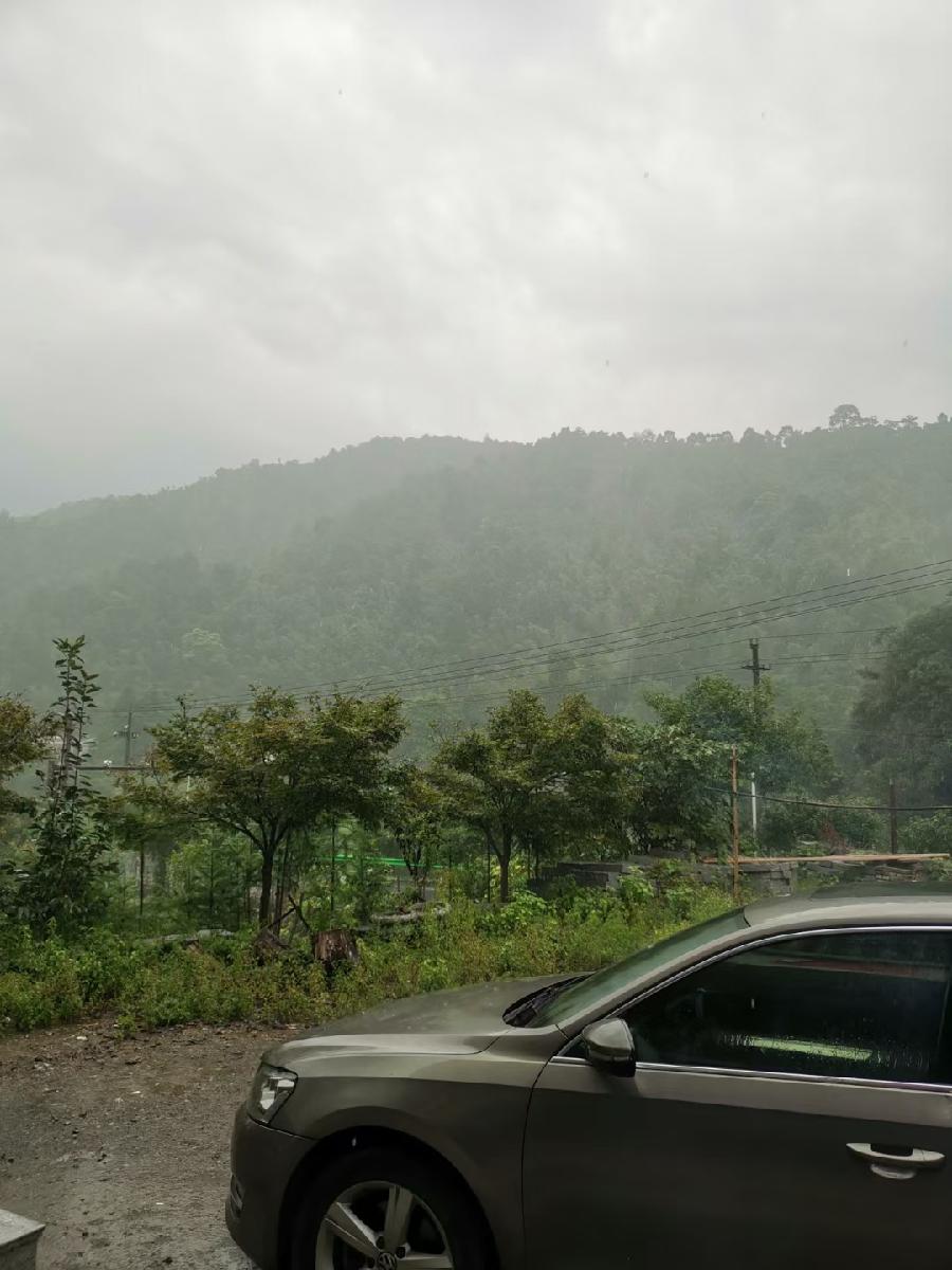 感 雨（文/许碧霞）……莲叶之珠文学社
