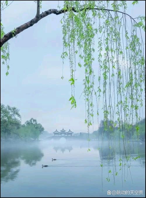 欣赏华诗章老师律诗对联（图4）