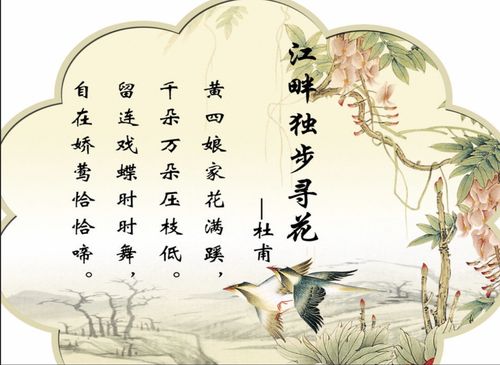 【明心文学】老孙/入心的明亮 主播/舒心快乐（图2）