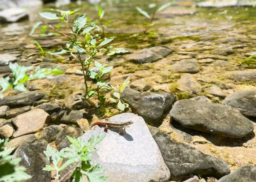 秋儿，把我拽进梦里（图2）