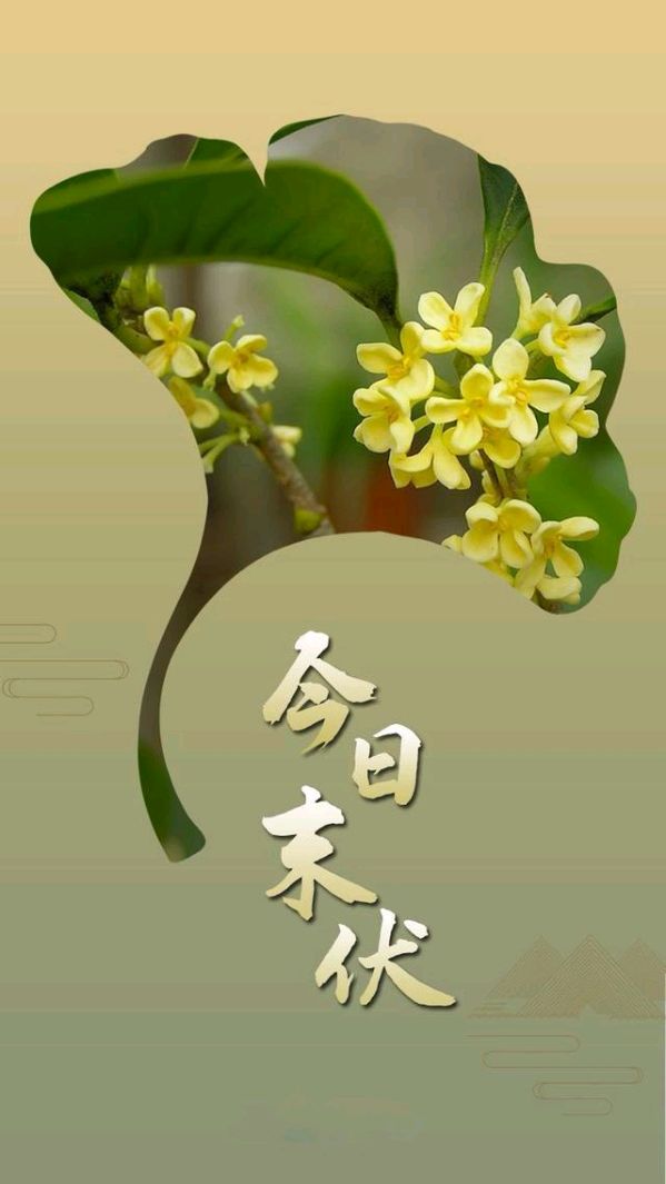 七绝-末伏吟～诗||胡斌（桃花园君）（图8）