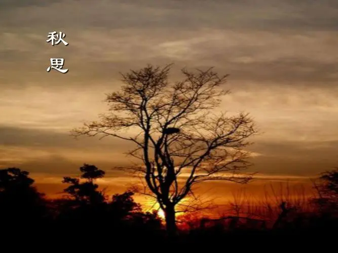 【名家名作】赵建东‖诗词集锦(一)(图5)
