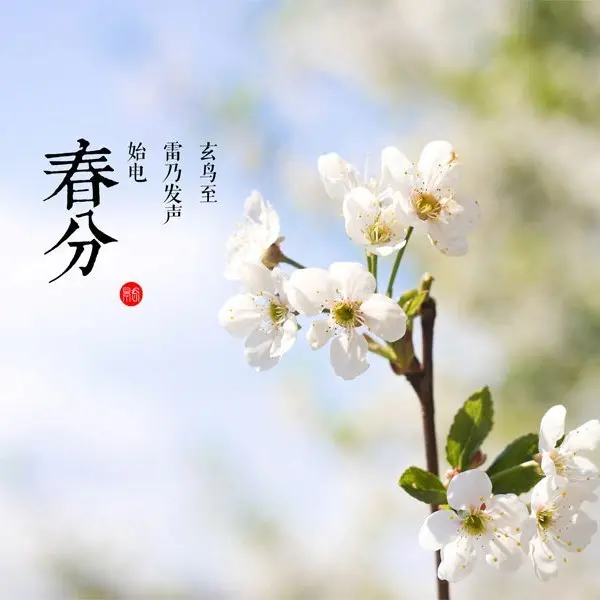 【名家名作】赵建东‖诗词集锦(一)(图7)