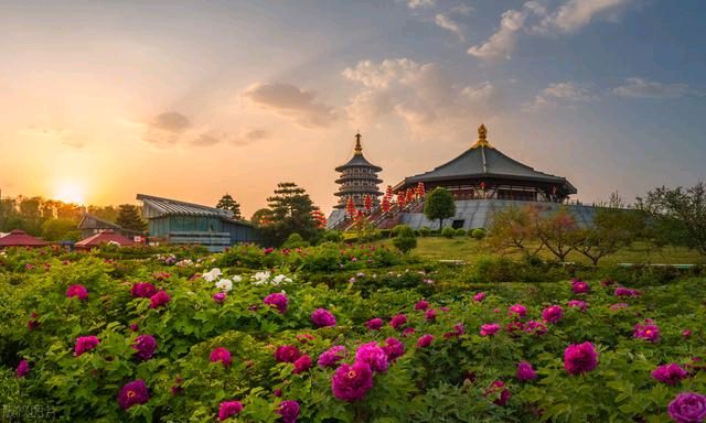 【明心文学】刘金学/五绝八首 主播/薇薇（图5）
