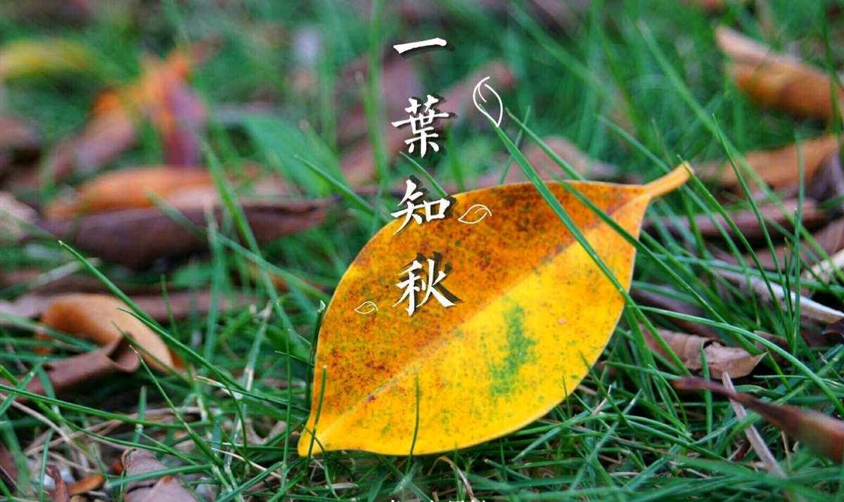 【明心文学】邢志坚/秋（组诗三首）主播/张兆维（图2）