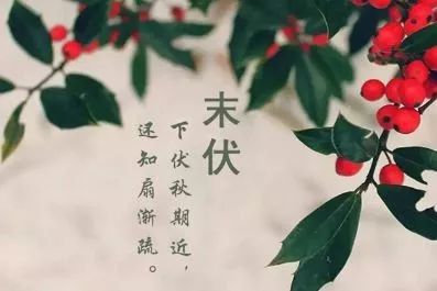 藏头诗:今日末伏文/王俊杰(天津)（图3）