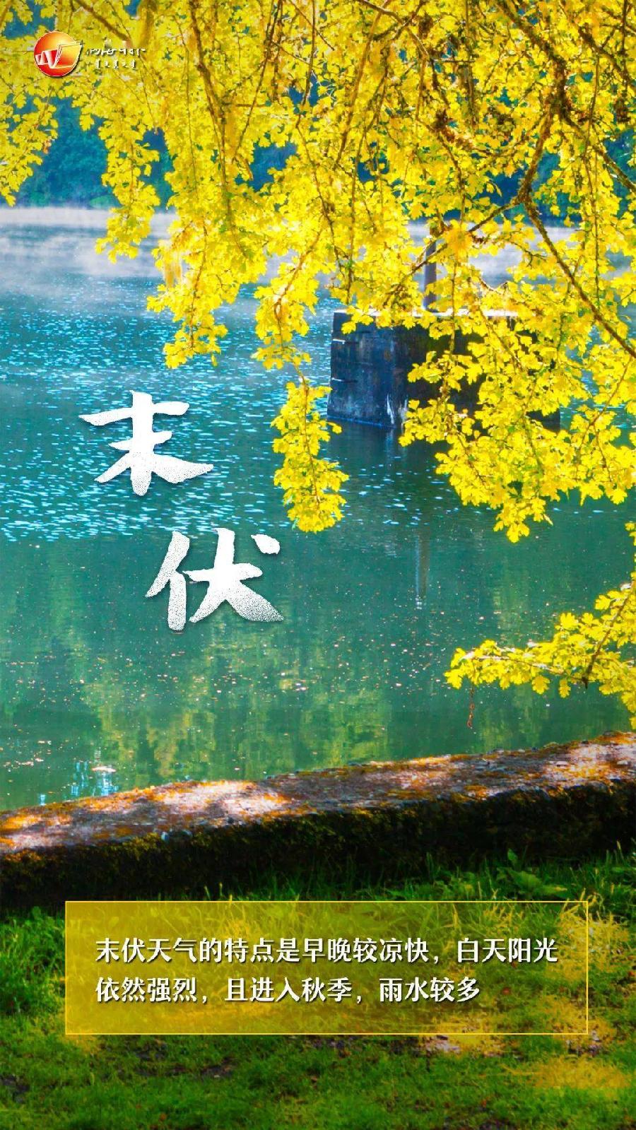 末伏到～诗||吴永良（图8）