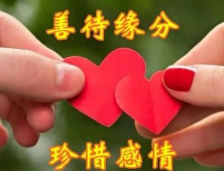 【新山东文学社】《殊缘》作者/樊志刚 主播/海豚(图5)