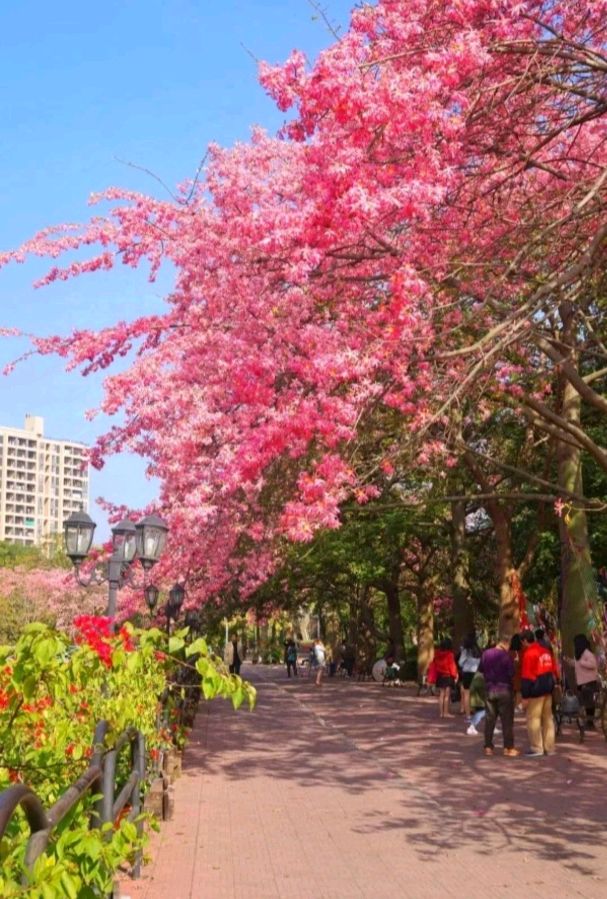 甲辰年诗词集锦 作者/卓顺贵(图22)