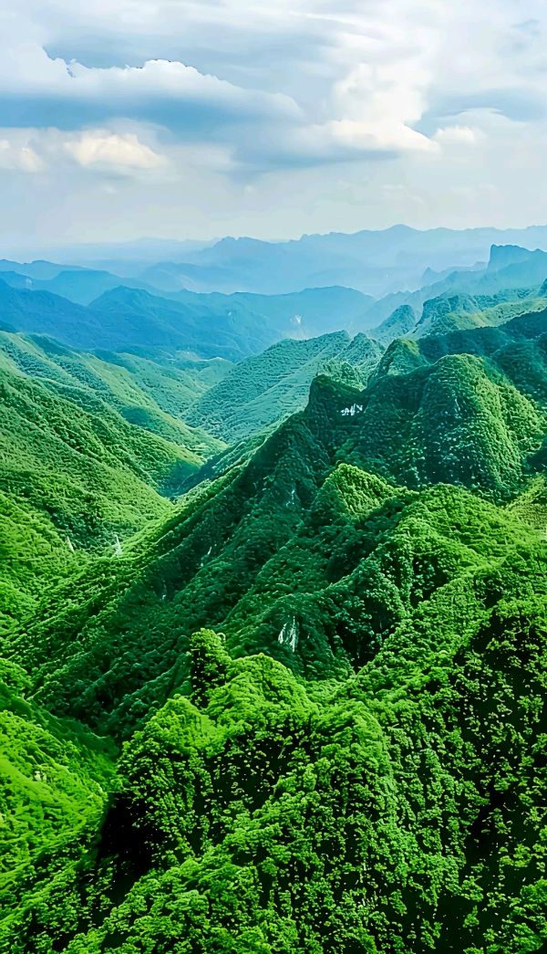 我不是诗人～诗||马文同（图14）