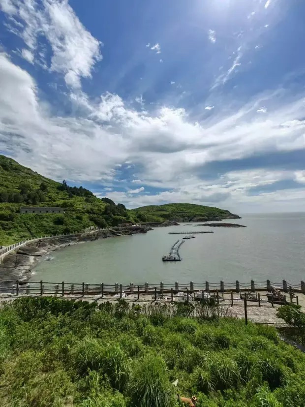 战火铭记:一江山岛的历史回响(图3)