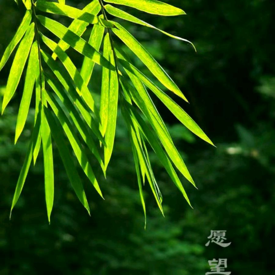 【都市头条向幸福出发编辑部】第12287期 我是这样带娃的