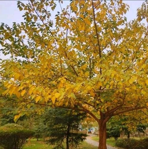 【神州源流诗苑】第1220期优秀现代诗等周刊（图3）