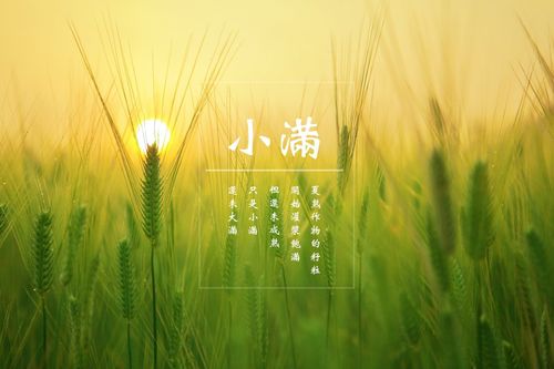 【中华好诗词】分享（江苏）著名诗人王啸先生诗词十首请君欣赏（图11）