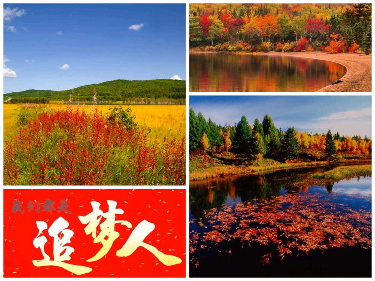 【重磅推出】鲁坡//三秋纵笔满诗画[秋韵系列作品展]（图6）