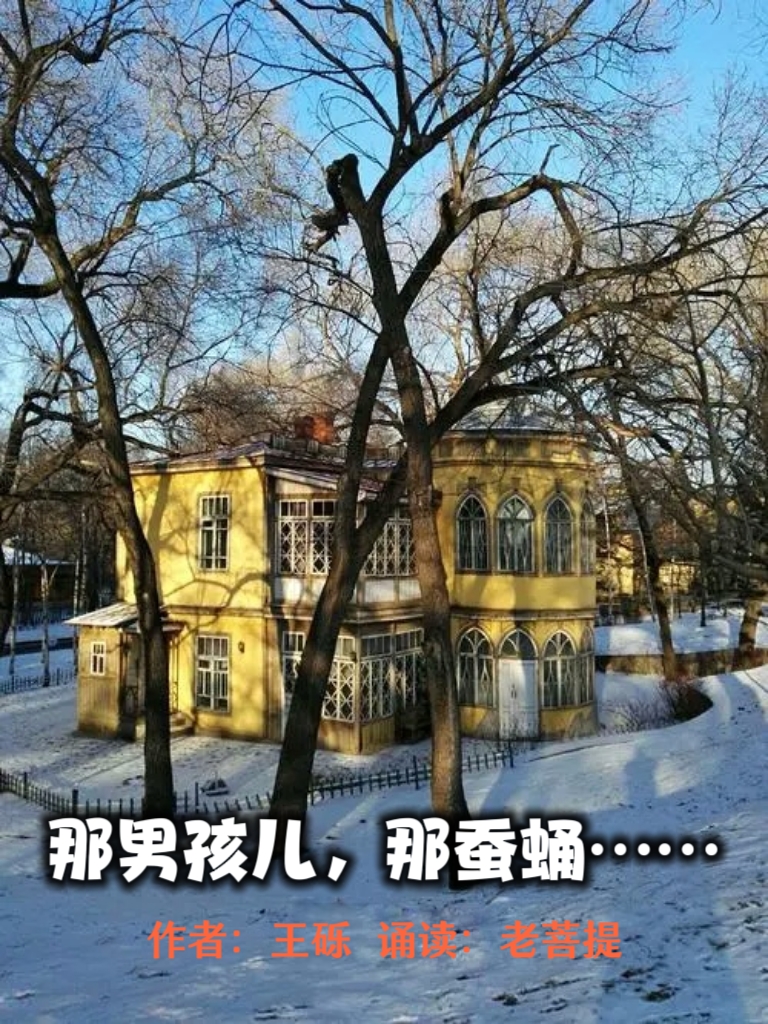 那男孩儿，那蚕蛹……作者：王砾 诵读：老菩提（图2）