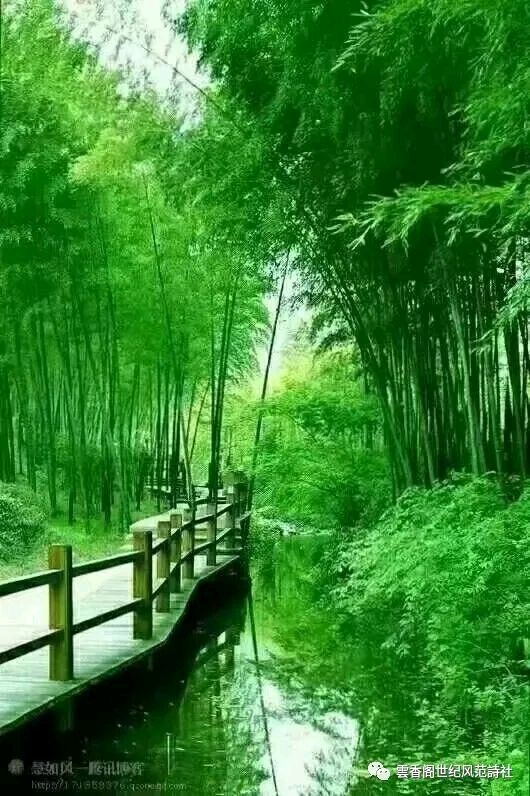 自由体《当下的自己》文/郑金波（图3）