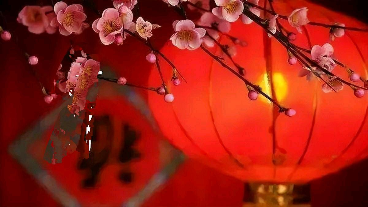 【华夏周刊】第258期合辑（图6）
