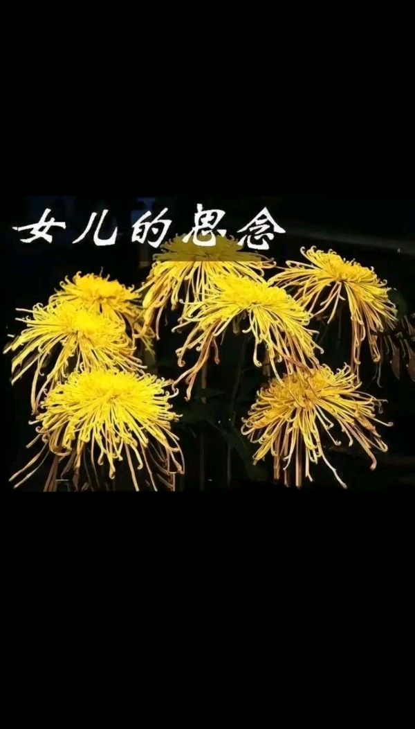 【小芹朗诵厅】作者/张建民 诗二首 主播/赵淑芹（图6）