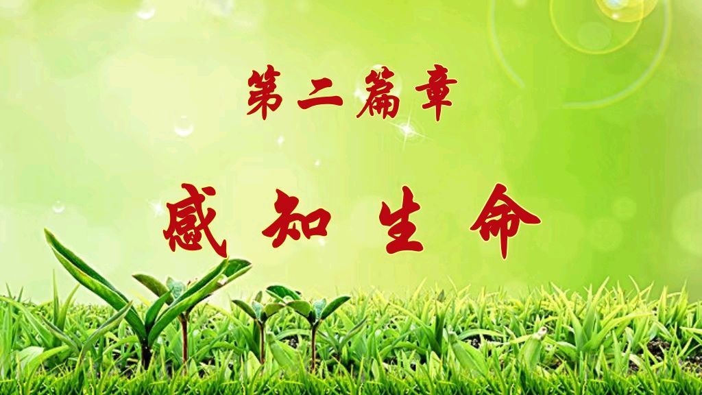 北京古塔读书会 ‖ 《感恩.感知.感谢.感悟》诗人任学路诗歌作品朗诵会（图24）