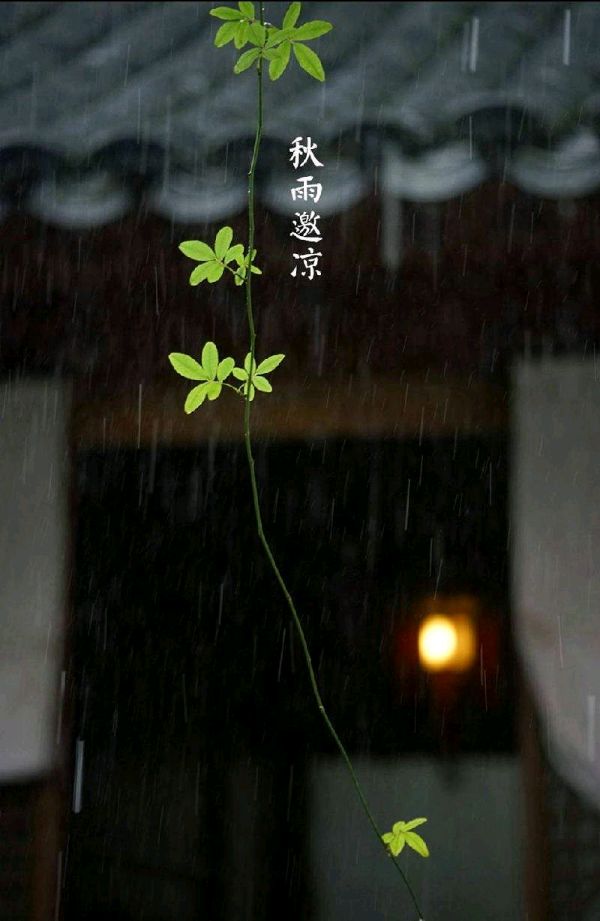 七绝-雨吟～诗||王政（图14）