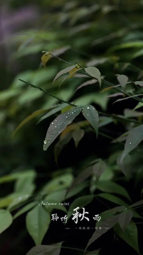 七绝-雨吟～诗||王政（图8）