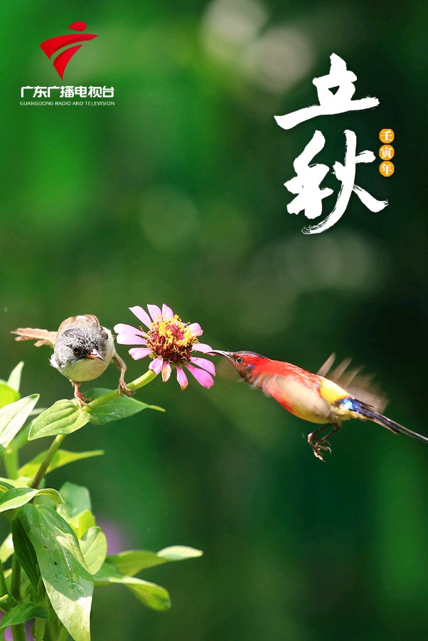 【神州源流诗苑】第1221期优秀近体诗周刊(图9)