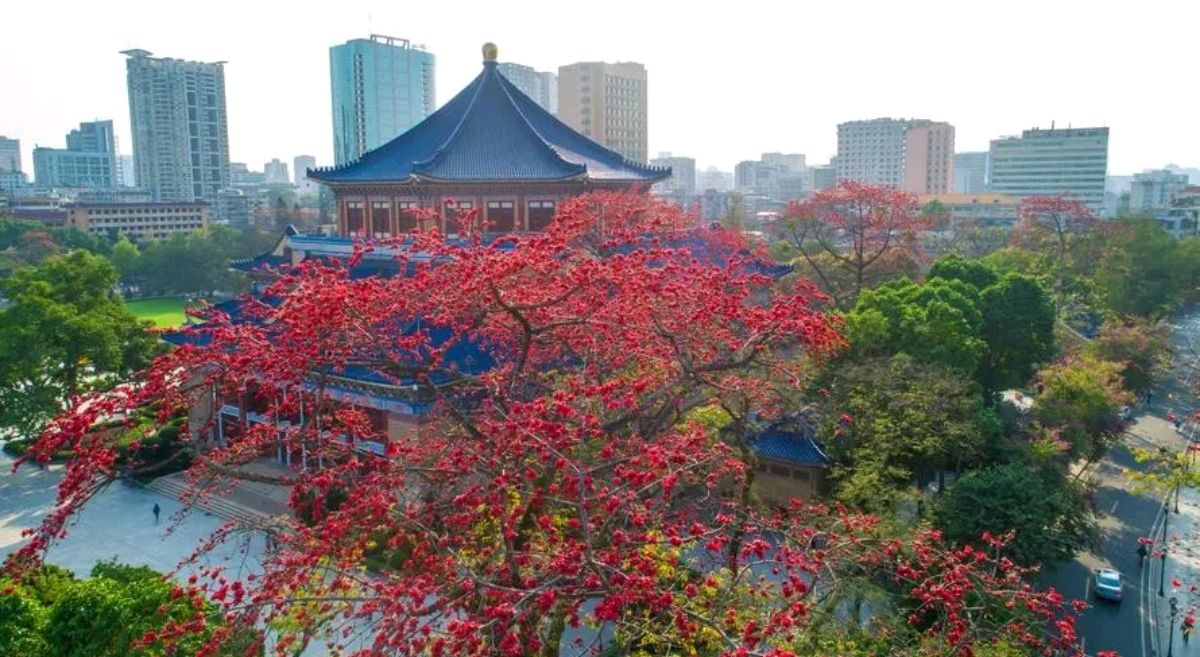 【明心文学】韶中华/含情着第二故乡的感念 主播/薇薇（图4）