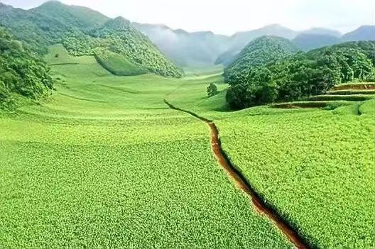 【荣耀中国】塘栖镇印象作者/马延国（图3）