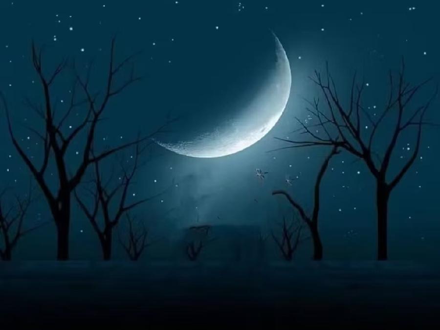 【荣耀中国】秋夜文／卢进国（湖北监利）（图2）