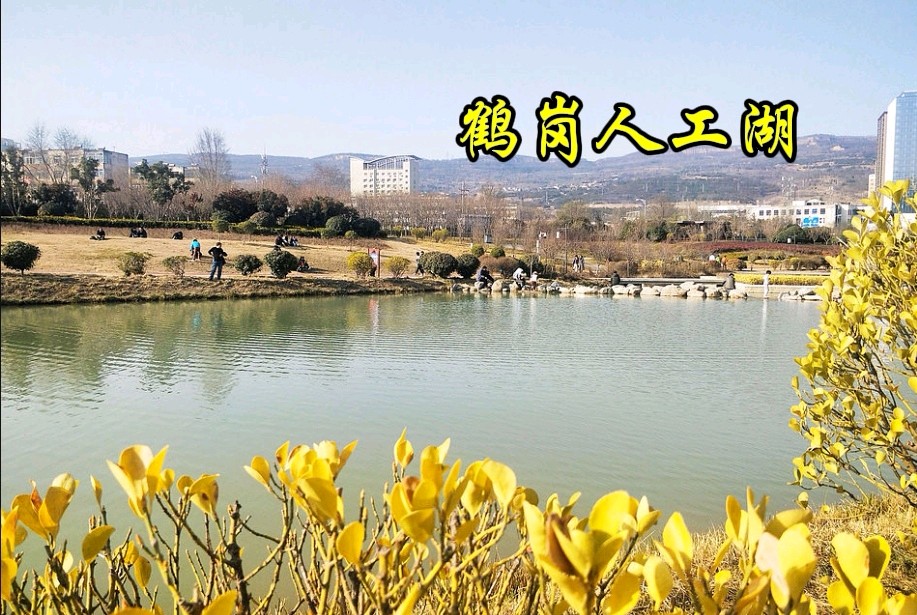 《天水湖恋歌》作者/春光无限 诵读/雯煜 编辑制作/雨杉【花雨馨声】第682期（图8）