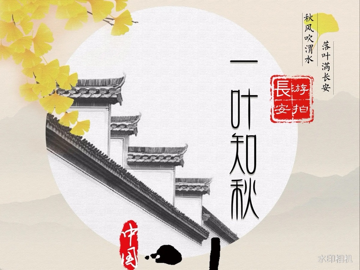 🎥【秋韵专辑】A〔第30集〕（图2）