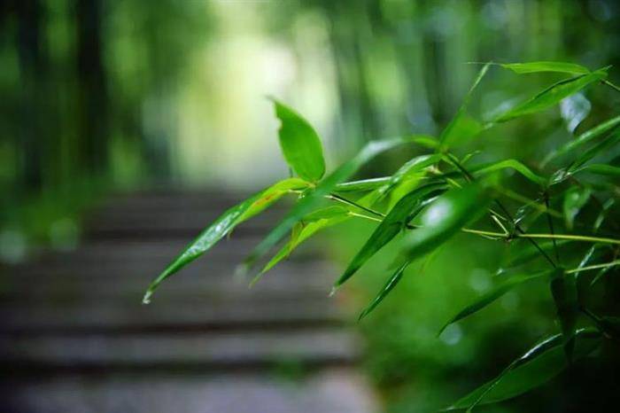 雨停了文/林水火（福建）（图3）