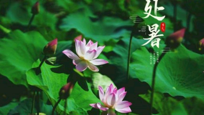 《许峰诗歌研究院》《诗词歌赋欣赏》【总第191期】（图14）