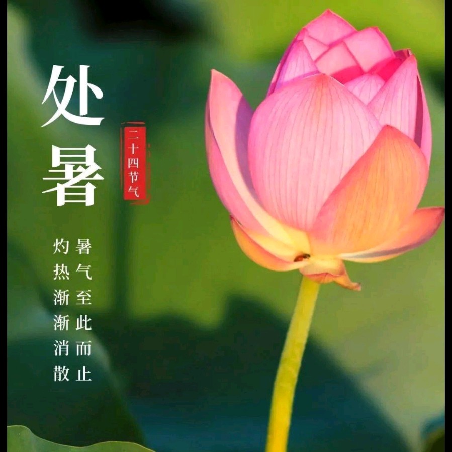 《许峰诗歌研究院》《诗词歌赋欣赏》【总第191期】（图17）