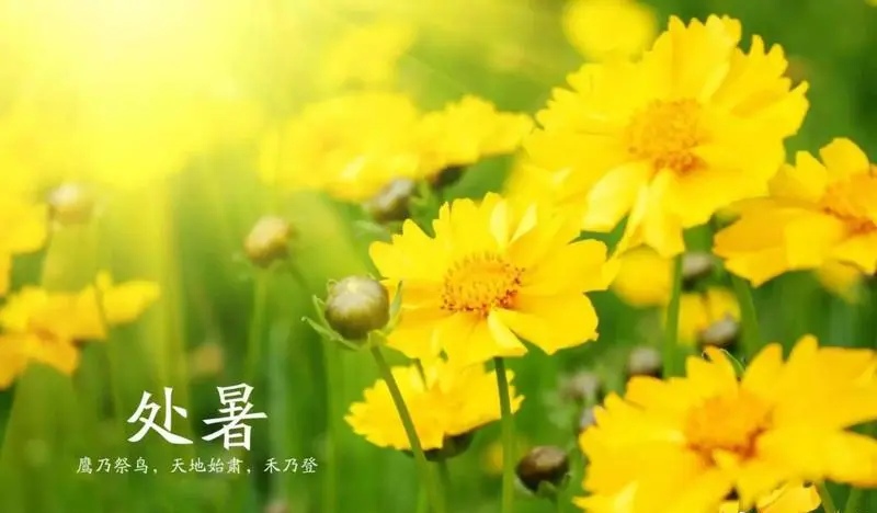 七律-处暑吟怀（组合）诗||于兴庆（图15）