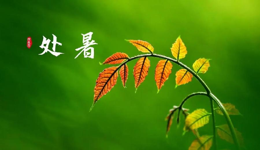 七律-处暑吟怀（组合）诗||于兴庆（图17）